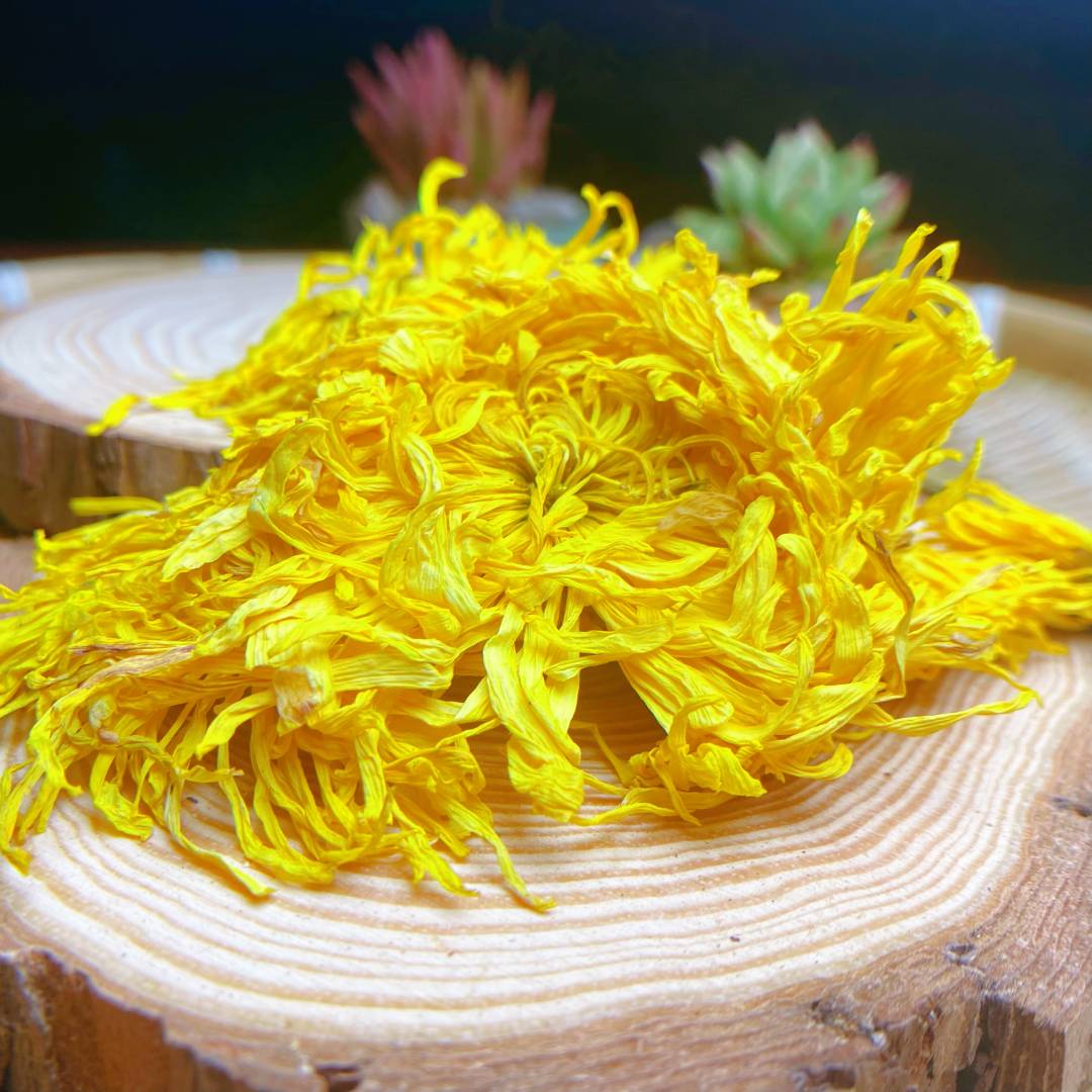 【云南手工山货】金丝皇菊云南新鲜花茶菊花茶正品精选
