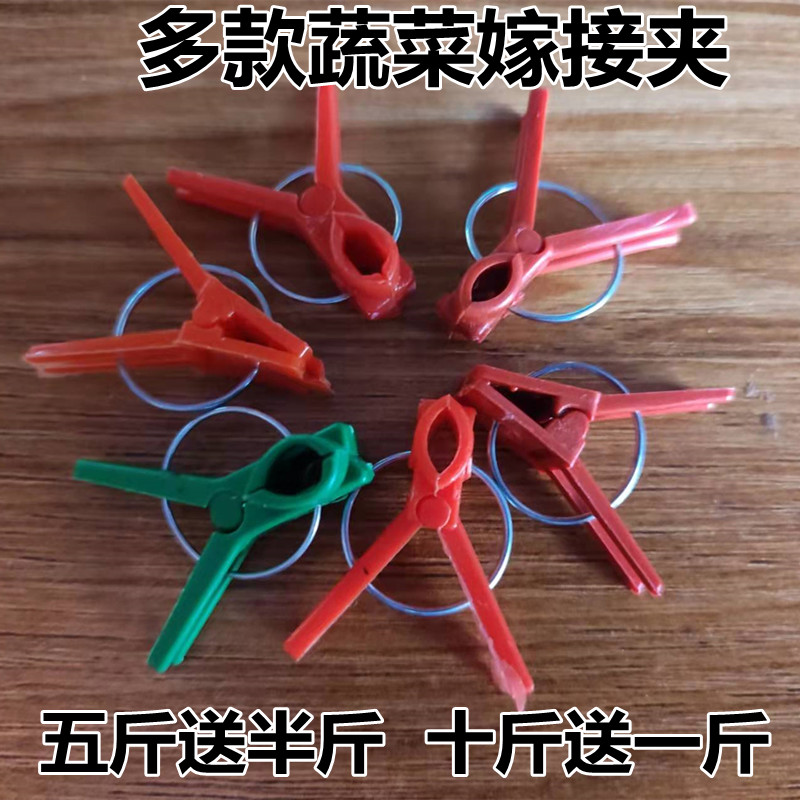 大棚二膜夹蟹爪兰黄瓜叶仙西瓜苗嫁接专用夹子蔬菜育苗甜瓜茄子