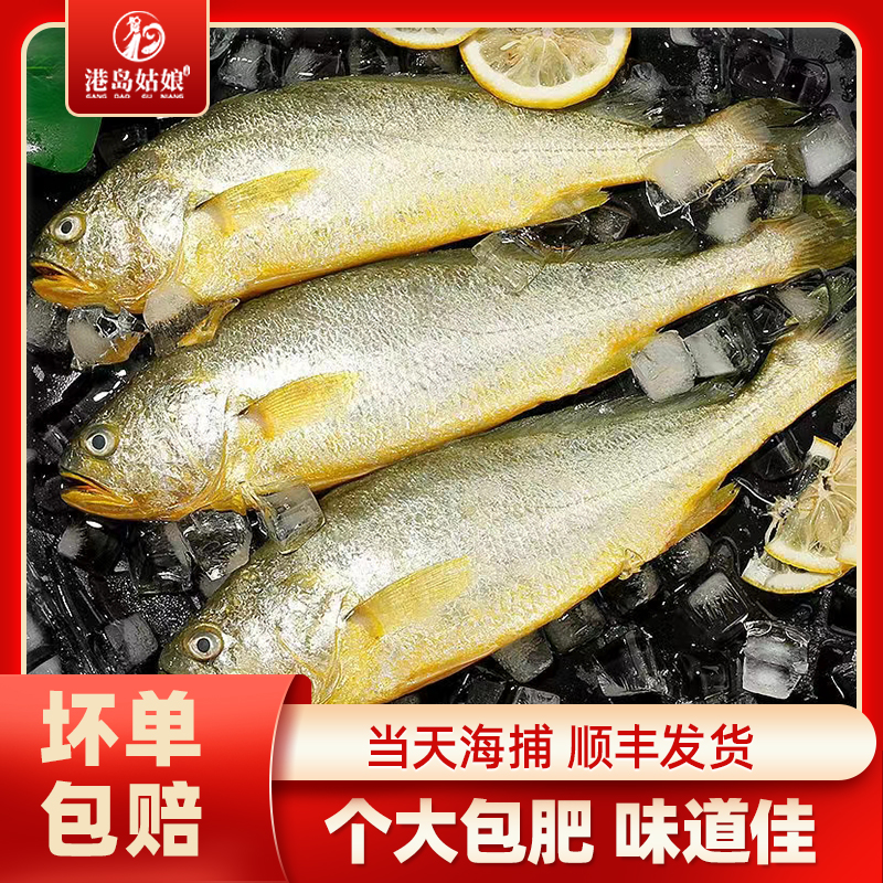 港岛姑娘 新鲜大黄花鱼 渔港直发 450克
