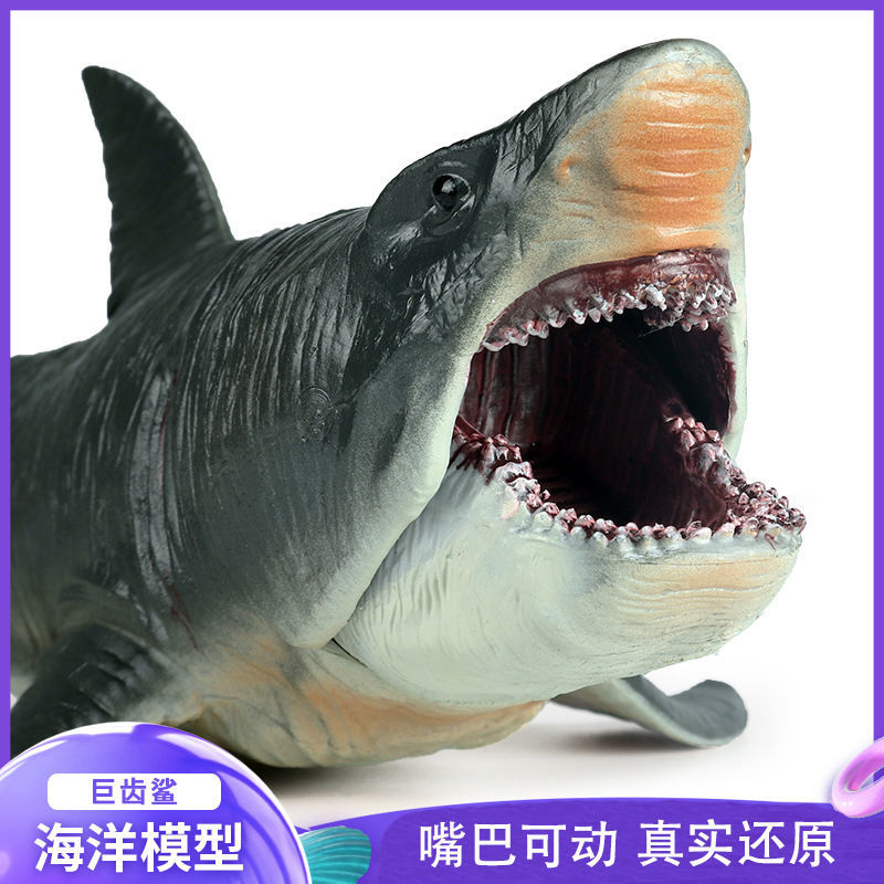 儿童仿真海洋海底鲨鱼玩具模型大号巨齿鲨大白鲨巨口鲨动物模型