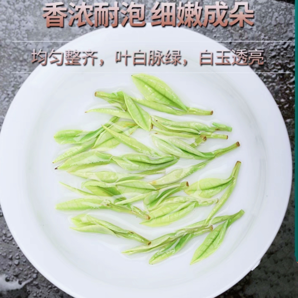 2025年新茶正味兰花香高山白茶A25茶叶款250g/500g黄金芽茶叶