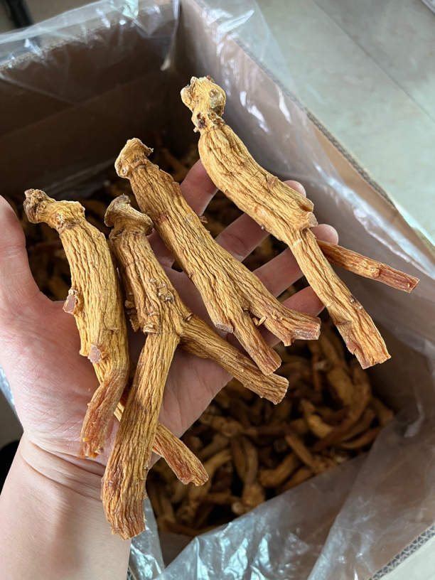 高丽参大支货一级货可收藏50g一支