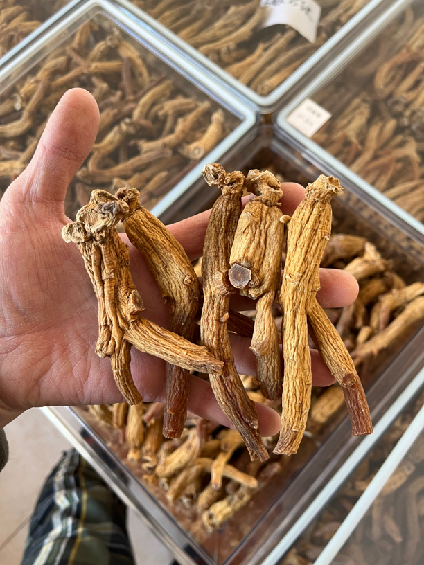 高丽参原枝货一级货黄金参黄金皮菊花心好肉质14支一斤