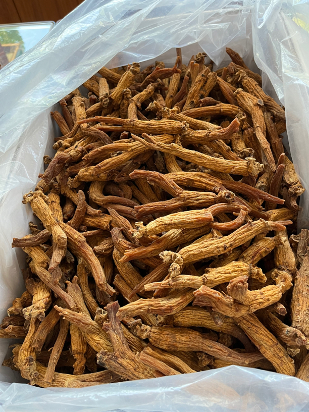 红参 大马芽品种 下山货红参 高年份 正宗红参