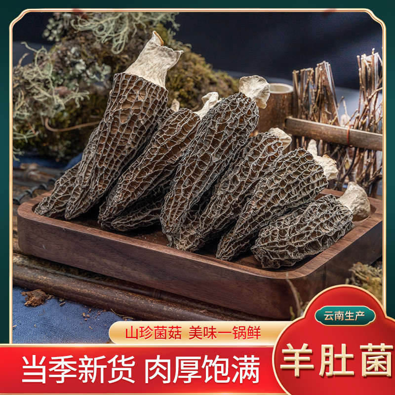 羊肚菌干货肉厚饱满剪柄高原头茬高品质羊肚菌香格里拉羊肚菌50g