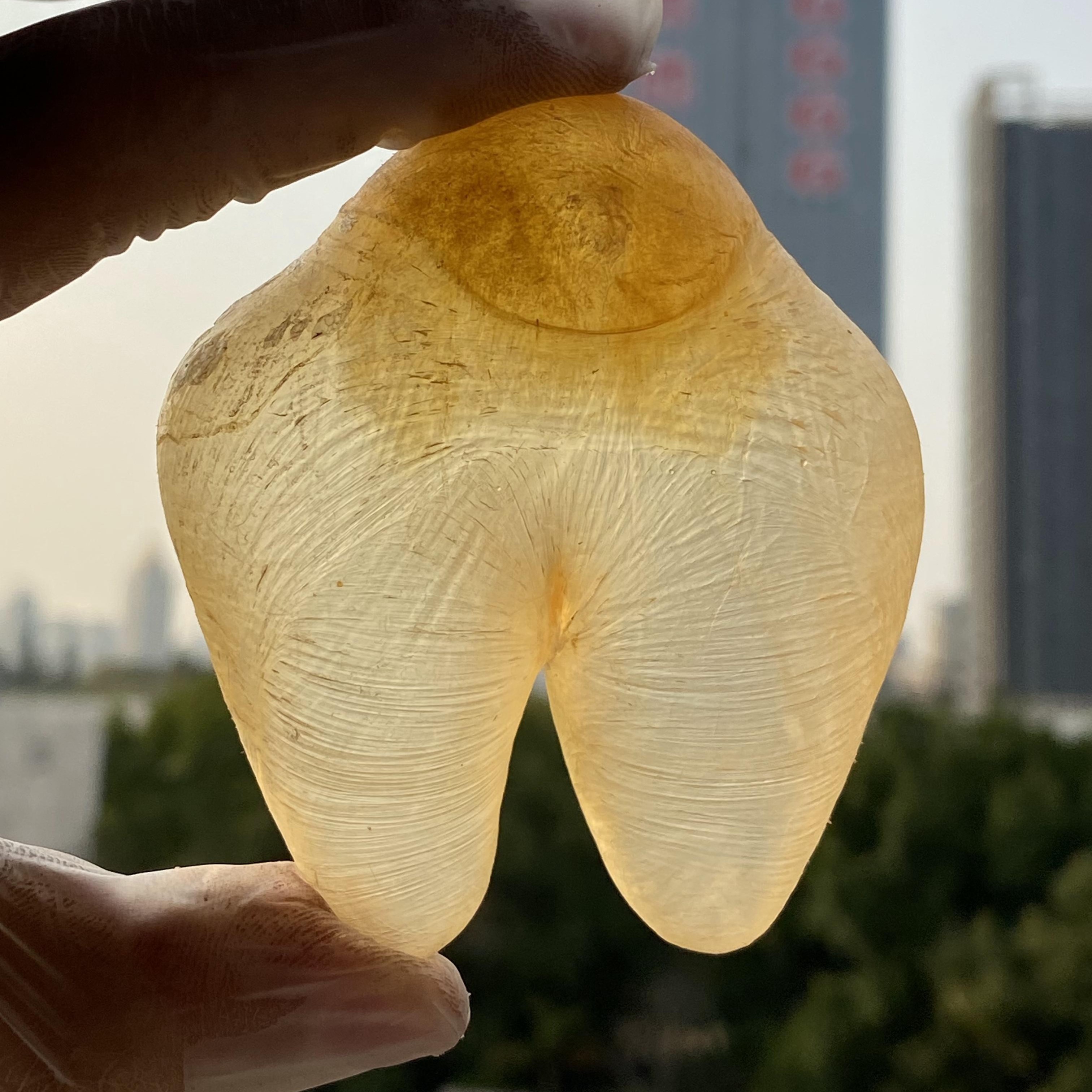 鸡泡胶备孕养宫 花胶 鱼胶 1-500g 广东景辰 