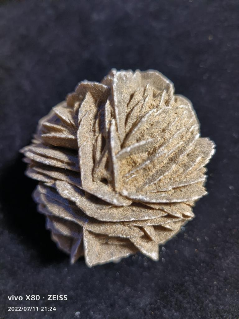阿拉善纯天然毛线团球状沙漠玫瑰，