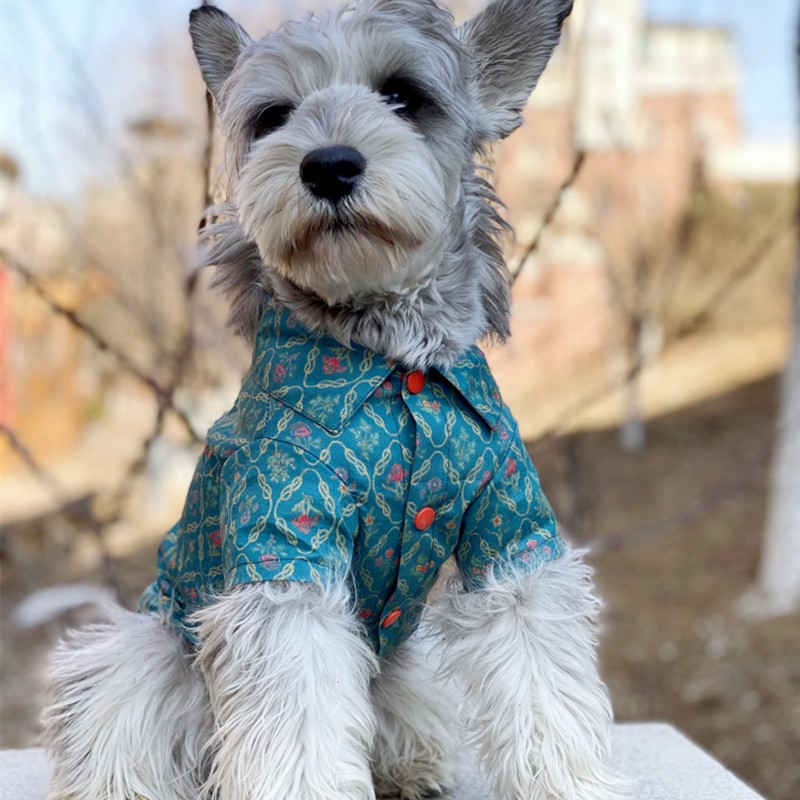 巴仔原创雪纳瑞贝林顿比熊泰迪小型犬春夏时尚超薄碎花衬衫可定制
