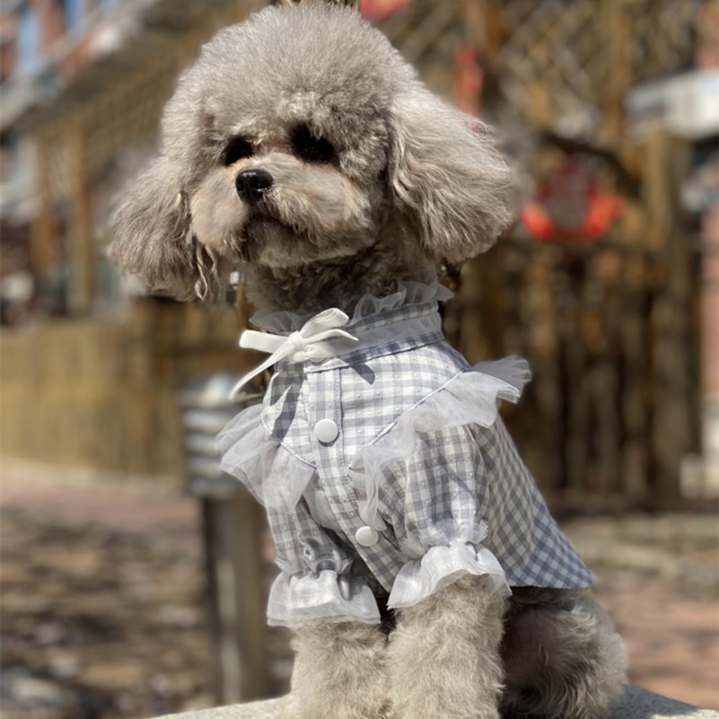【巴仔】泰迪雪纳瑞狗狗小型犬衣服蕾丝气质衬衫