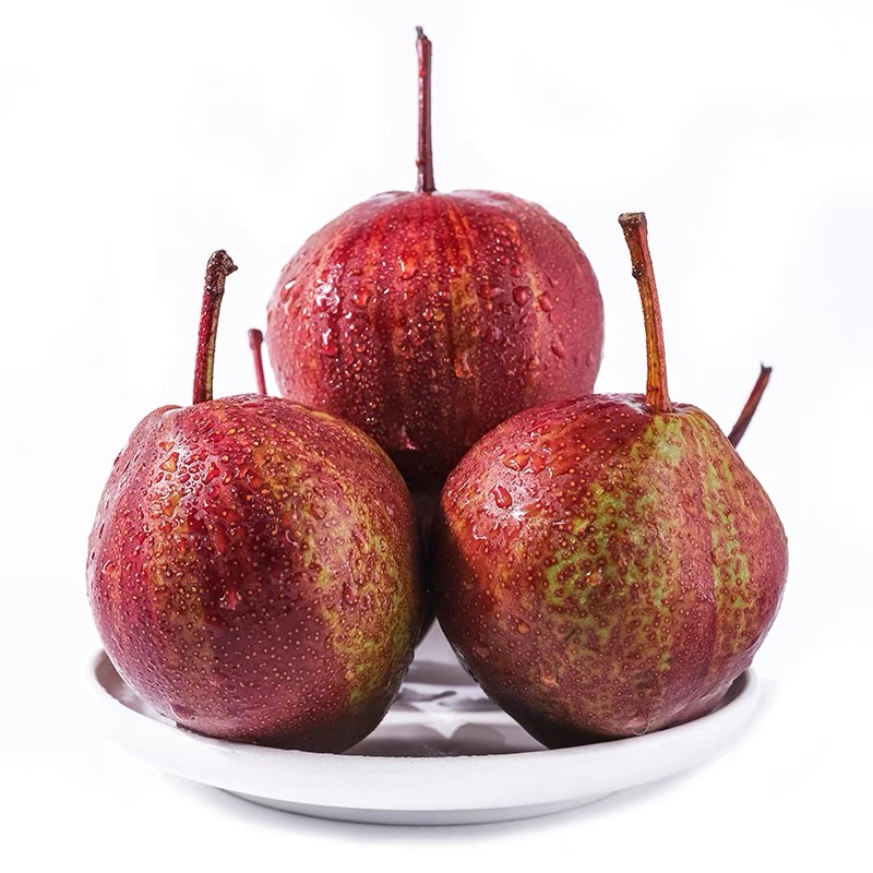 【坏果包赔】陕西彩虹梨现摘现发香甜多汁应季水果酥梨包邮