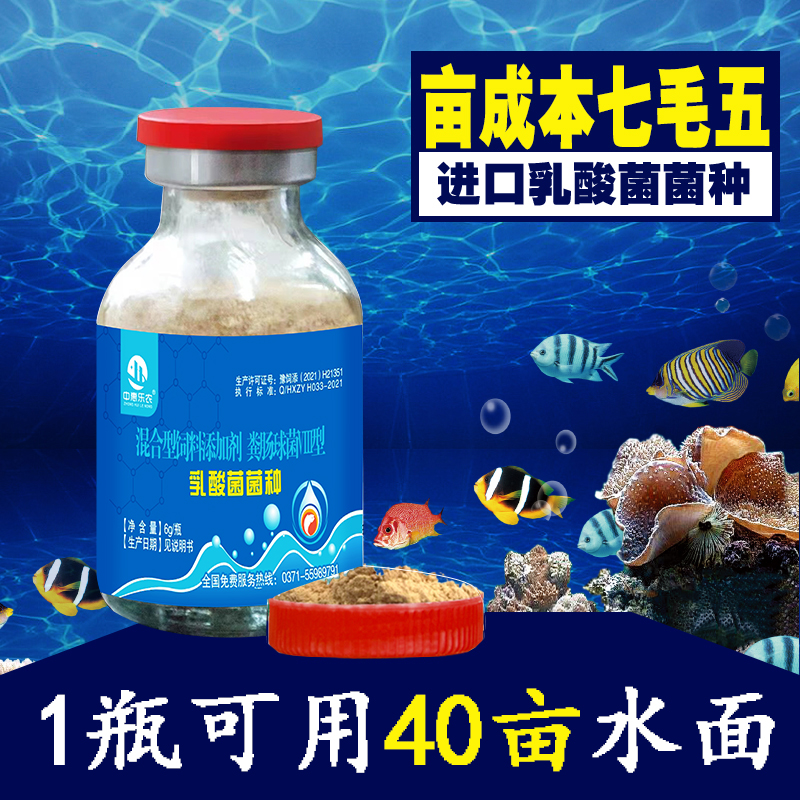 乳酸菌菌种水产养殖专用鱼虾蟹塘调水净水浓缩乳酸菌水产养殖专用