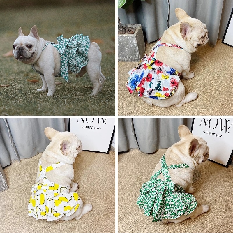 宠物狗狗法斗巴哥斗牛犬泰迪比熊衣服可爱公主裙子网红连衣裙薄款