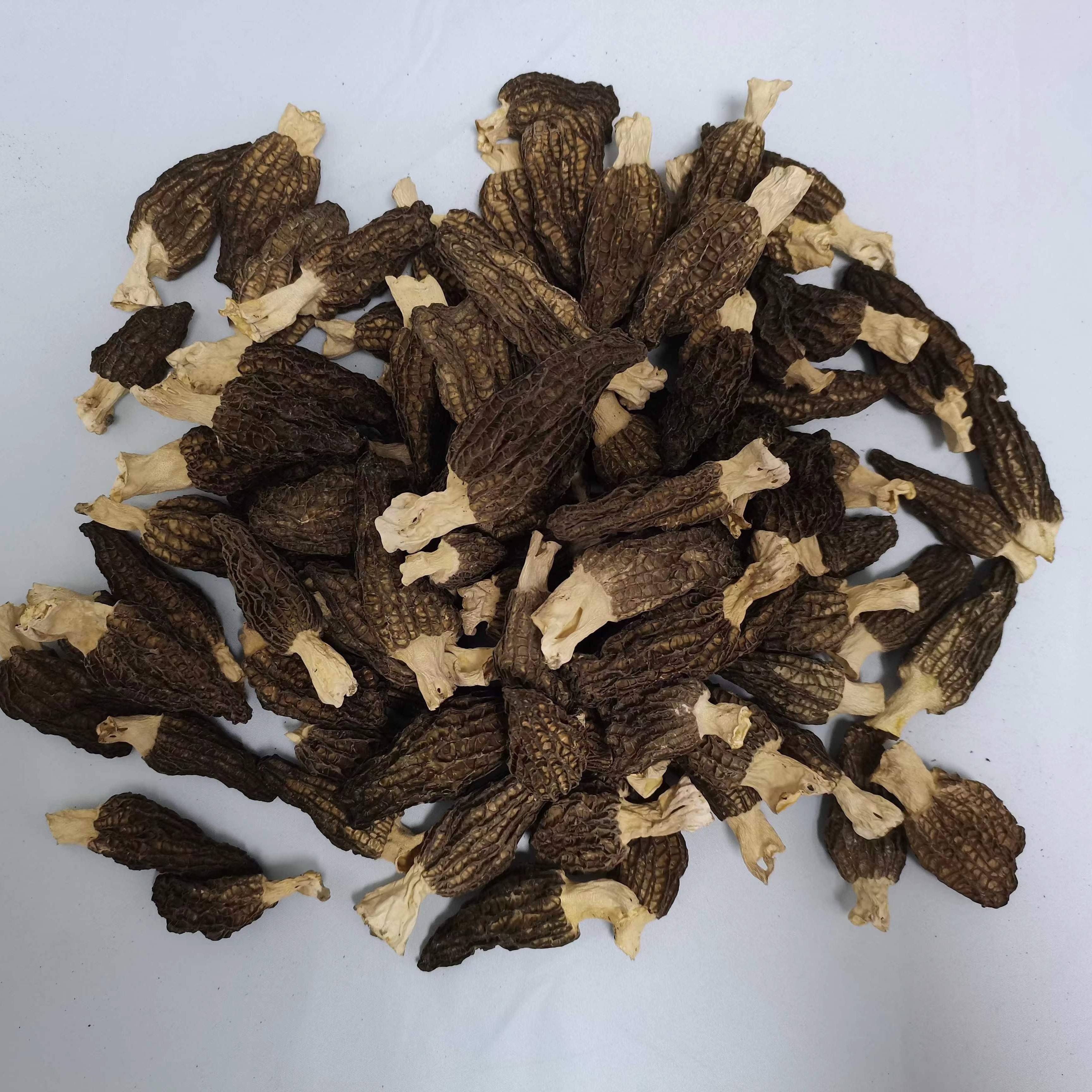 秦岭深山羊肚菌  50g/200g