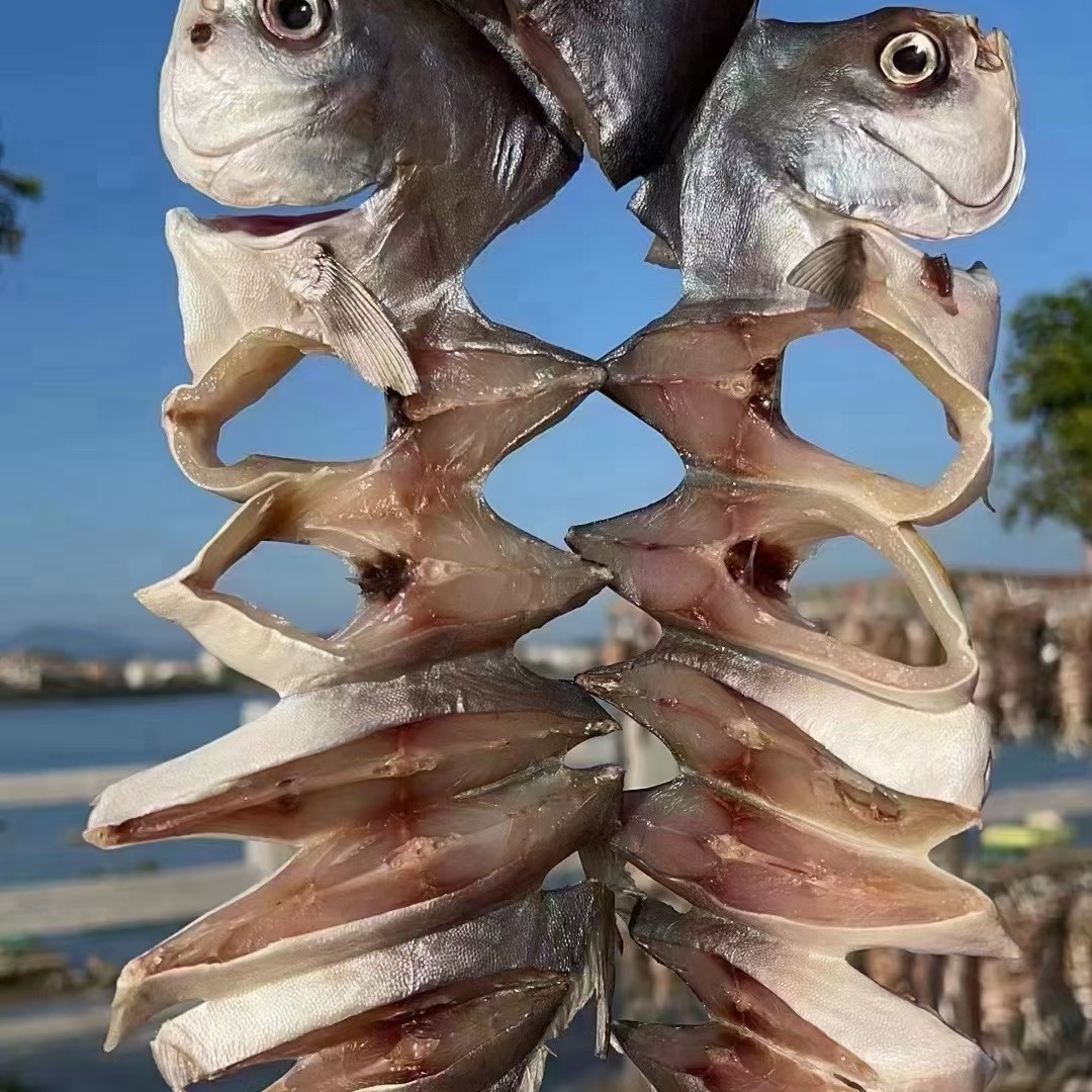 阳江特产 沙扒湾淡晒深海金鲳鱼干6条装（125g起-460g）