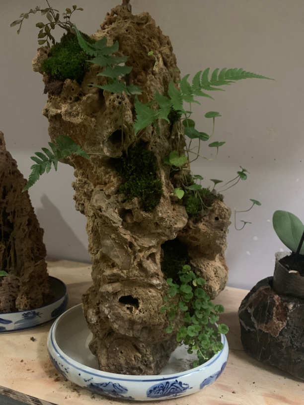 永德石缘盆景假山制造直播间一物一拍