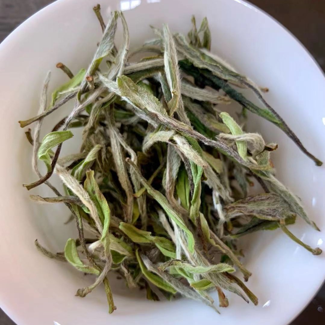 福鼎白茶2022年磻溪荒野白牡丹