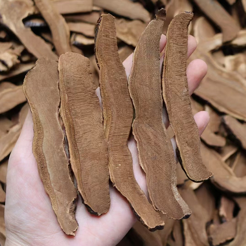 大条薄树灵芝汤包100g/250g