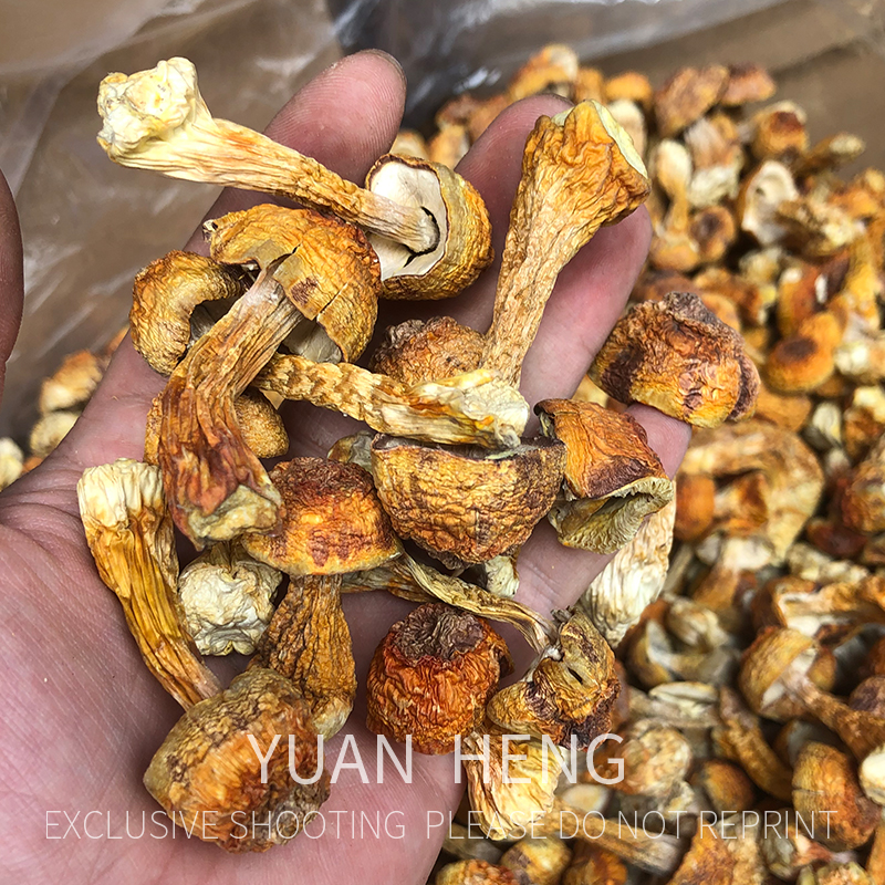 无硫姬松茸 250g