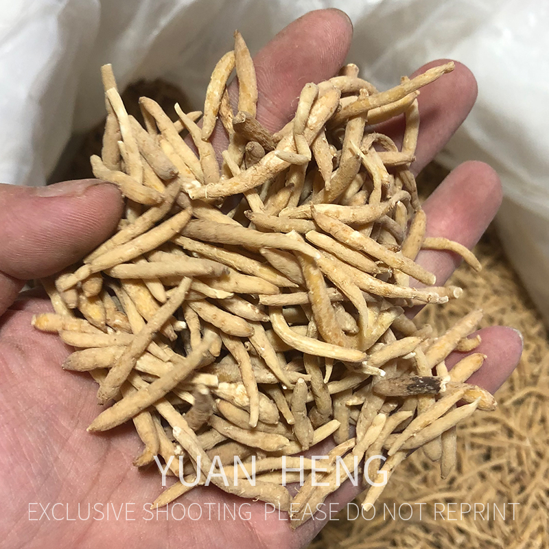 无硫太子根，参150g/250g