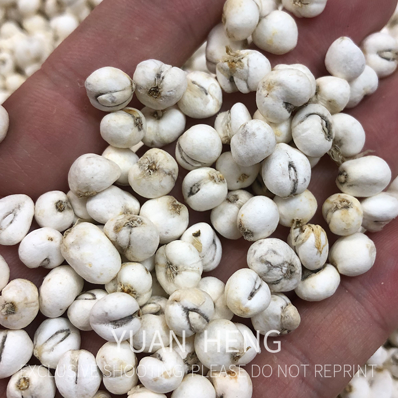 无硫  靓川贝 50g