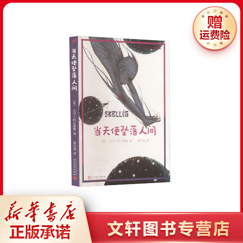 【文轩】当天使坠落人间 儿童文学