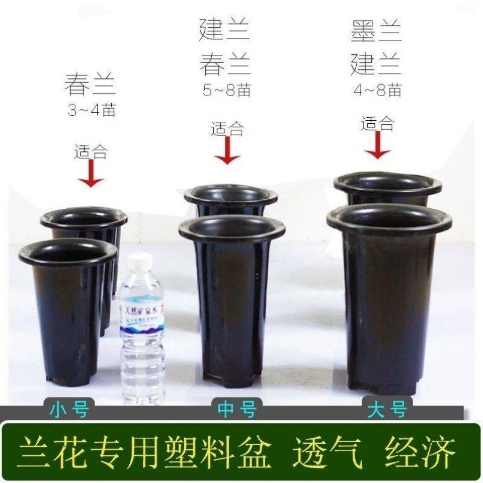 兰花盆园艺兰花盆塑料透气加厚加高黑色沥水盆兰科通用盆
