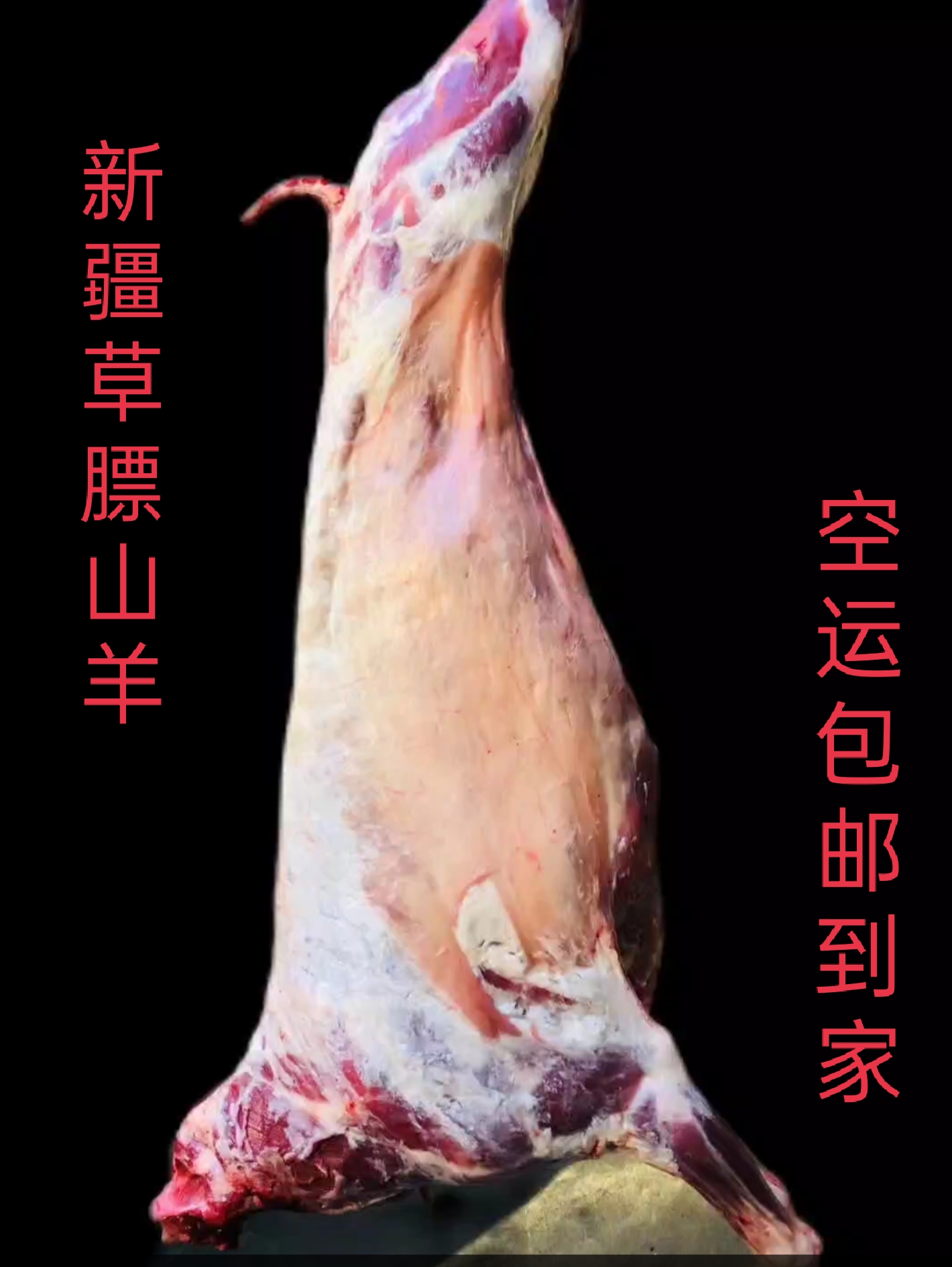 新疆塔城草膘小驹驴整羊整扇100%腿排 8-13公斤