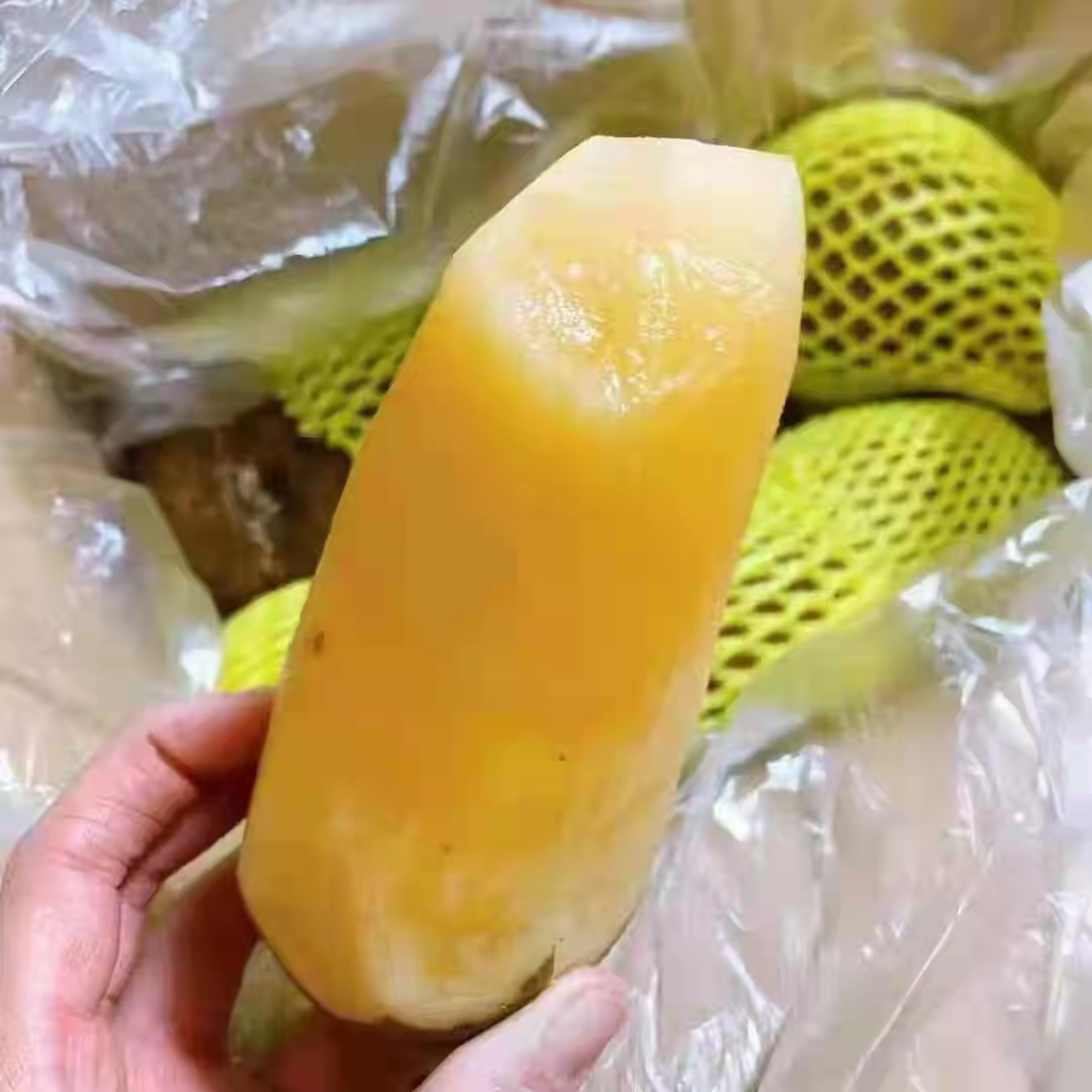 云南雪莲果 3公斤左右毛重