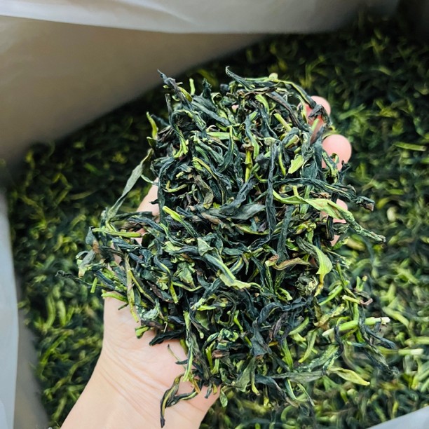 凤凰单丛 抽湿绿衣仙子 兰花香  500克