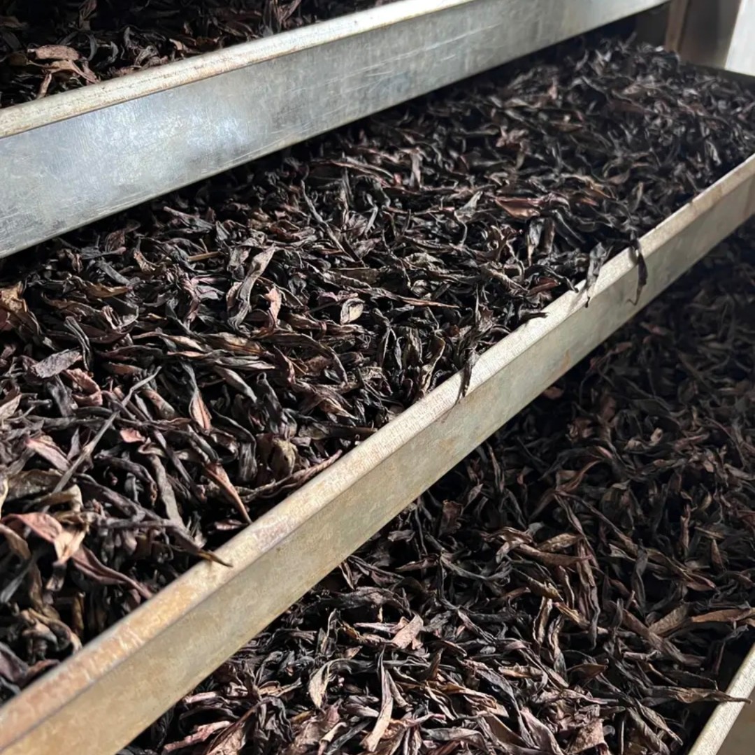 潮州乌龙茶 中高山春茶二米 900克/2袋