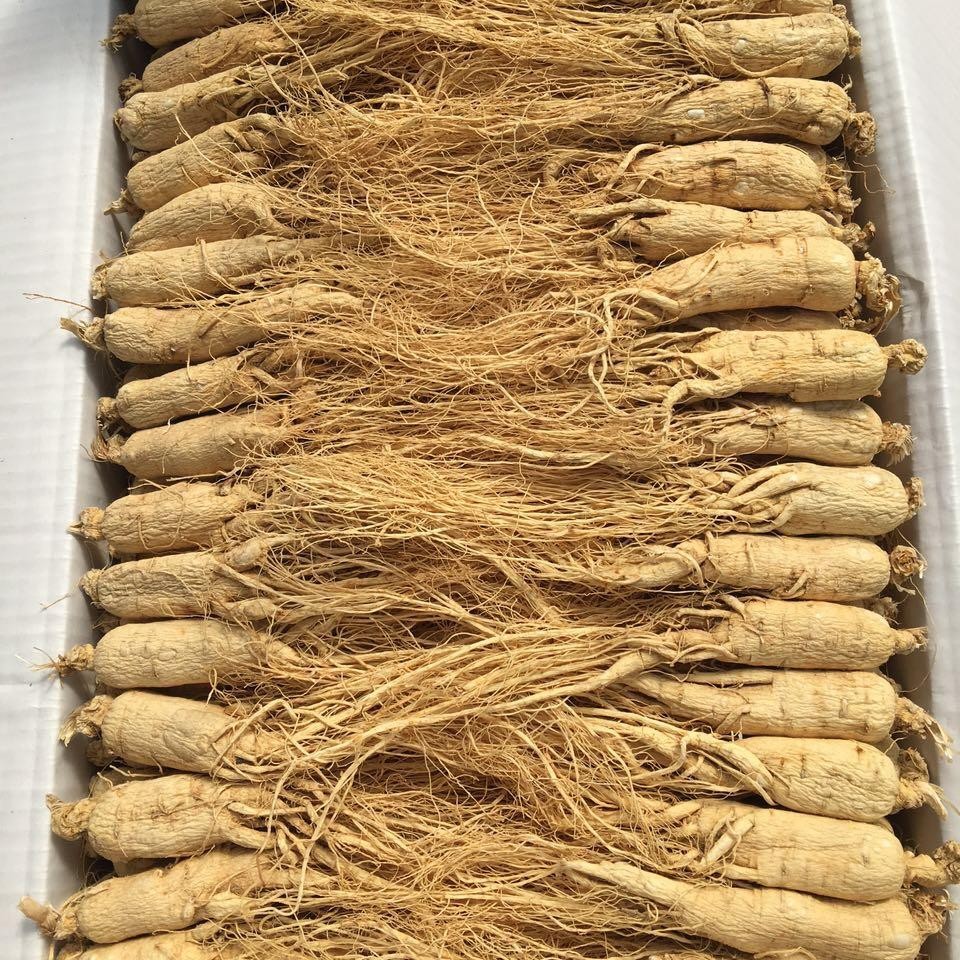 长白山 白棒槌 净含量250克