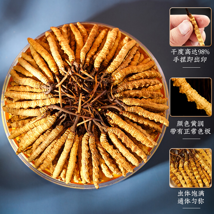 冬虫夏草头茬新干虫草100根3根/克特大草滋补送礼礼盒装
