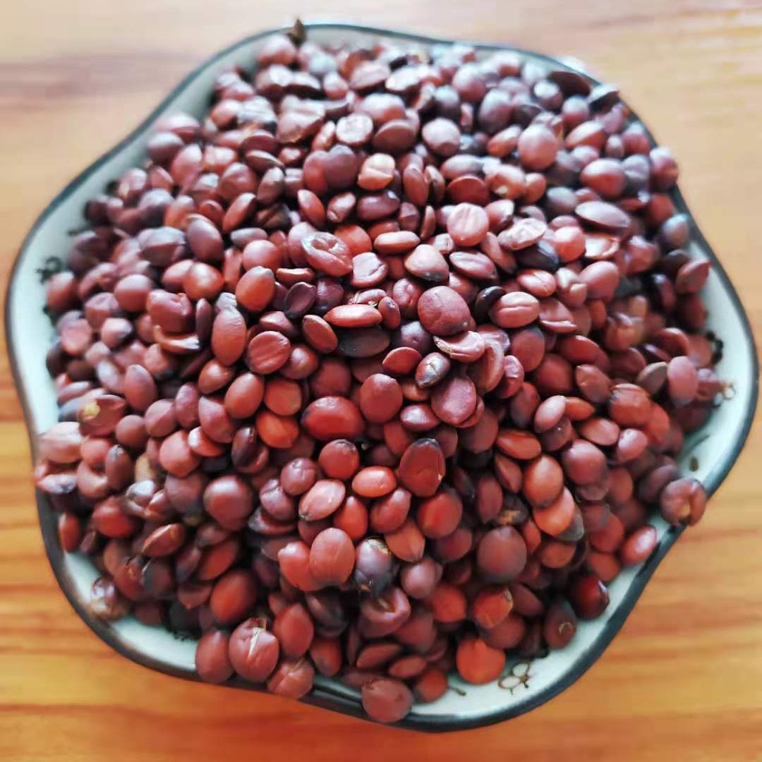 邢台地道特产酸枣仁保真保纯250克