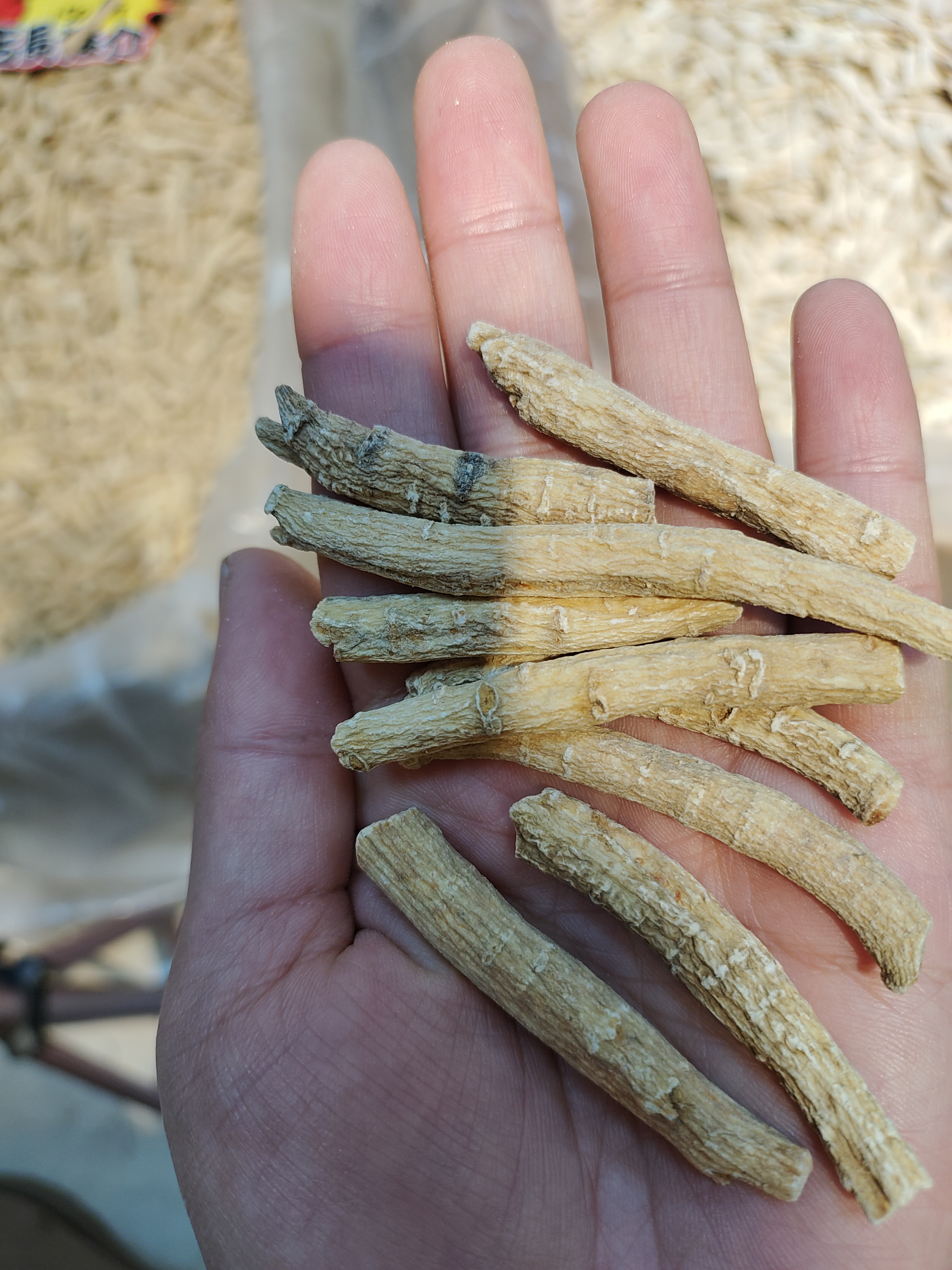 主播推荐西洋参参丁500g