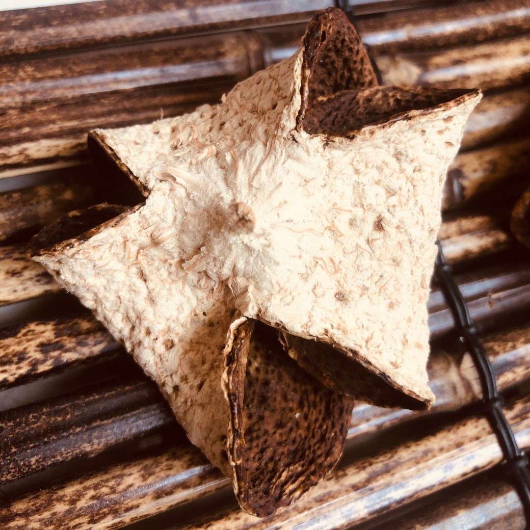 2016梅江塞口沙老树大红皮糯香甜梅子香核心产区正宗生晒新会陈皮