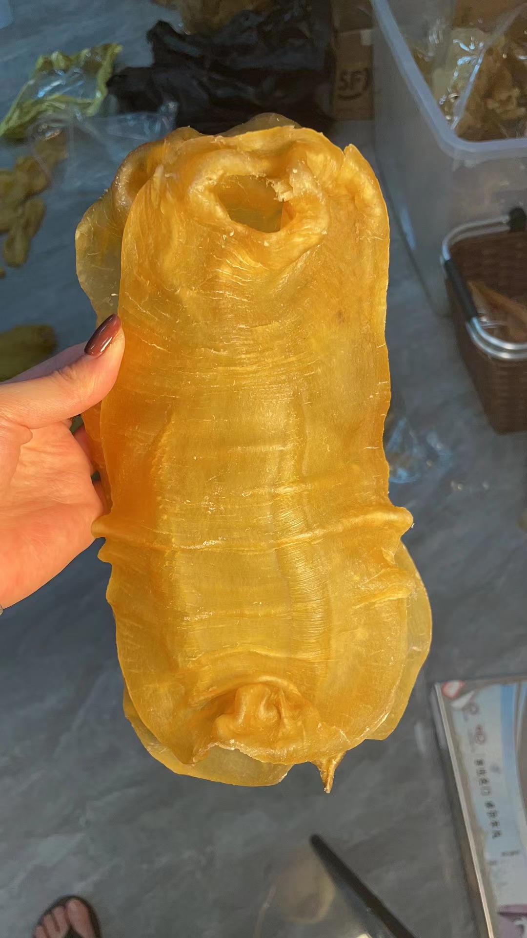 广东安南公鱼胶1-500g