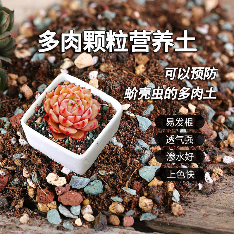 【山地玫瑰专用土】多肉专用颗粒营养土