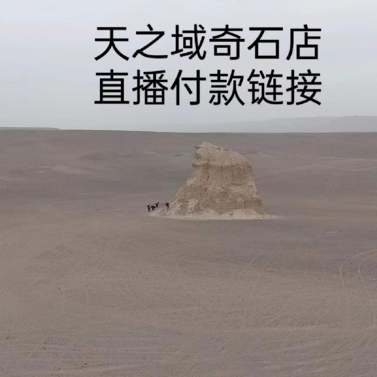 新疆哈密市伊州区阿牙路天子域天然原石观赏石 原石拼字彩色