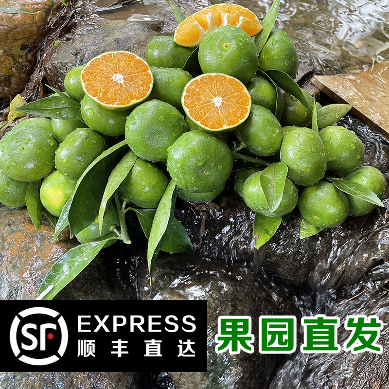 【顺丰包邮】江西赣南寻乌蜜橘现摘无籽青皮蜜橘新鲜应季水果3/5斤