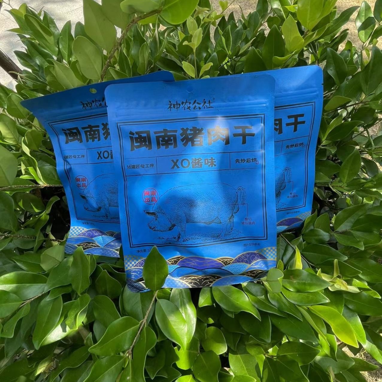 休闲零食闽南猪肉干《XO酱味》100g/包【到手共三包】