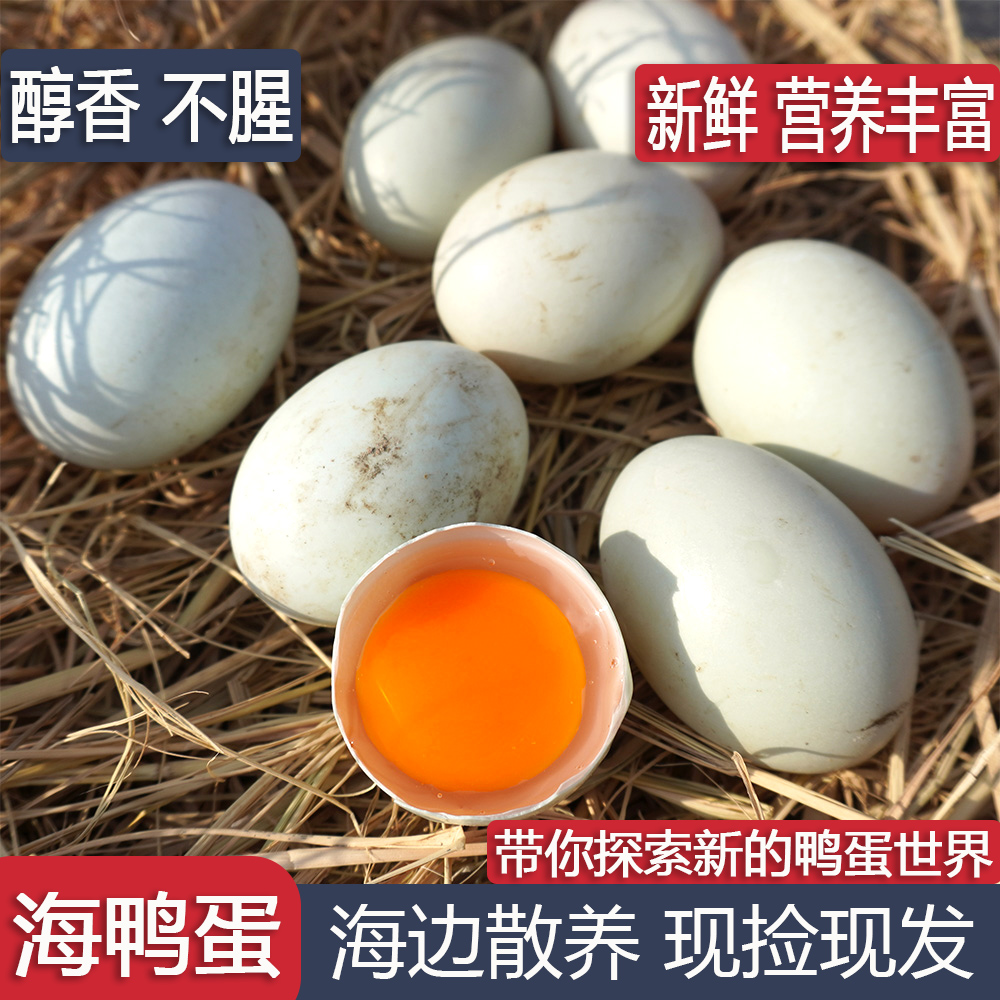 10-30枚农家海边散养土鸭蛋原产地正宗海鸭蛋新鲜正宗北部湾特产