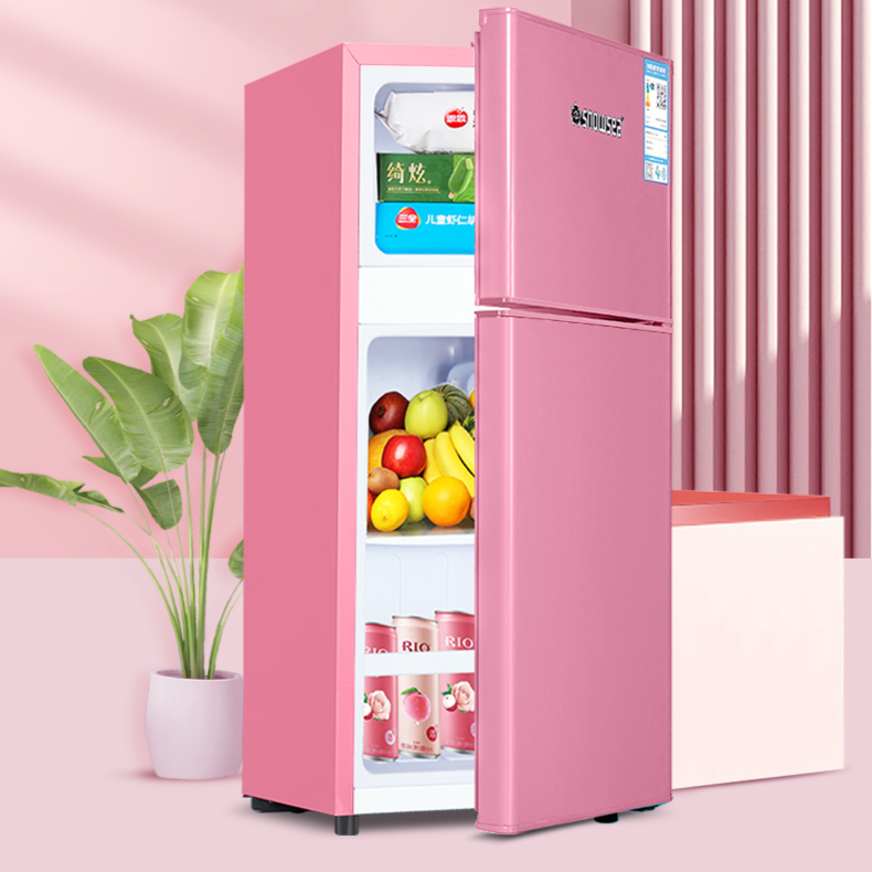 香雪海冰箱冰箱双开门冰箱小型家用小冰箱推荐租房冰箱热销第一名