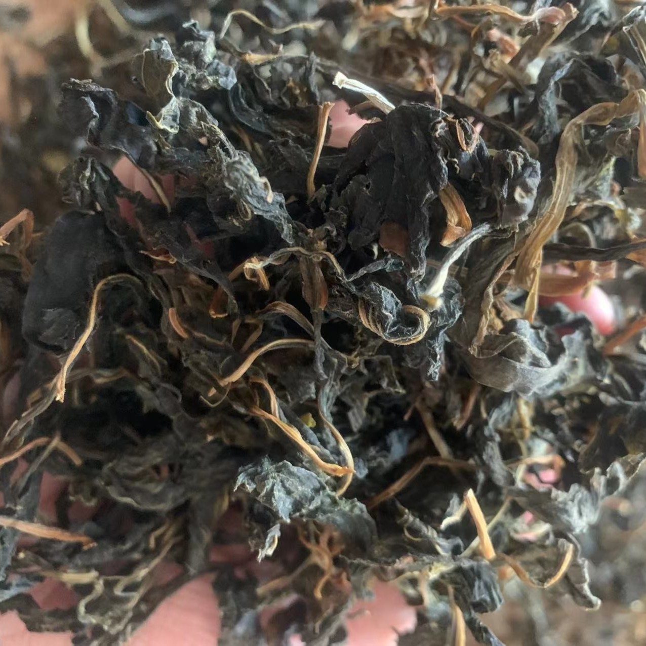 品名：苦菜干 产地：福建古田 重量：150克 保质期:12月