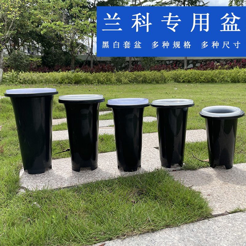 蘭松阁   可视化兰花套盆 加固黑色透明塑料盆加厚加高加厚款兰草