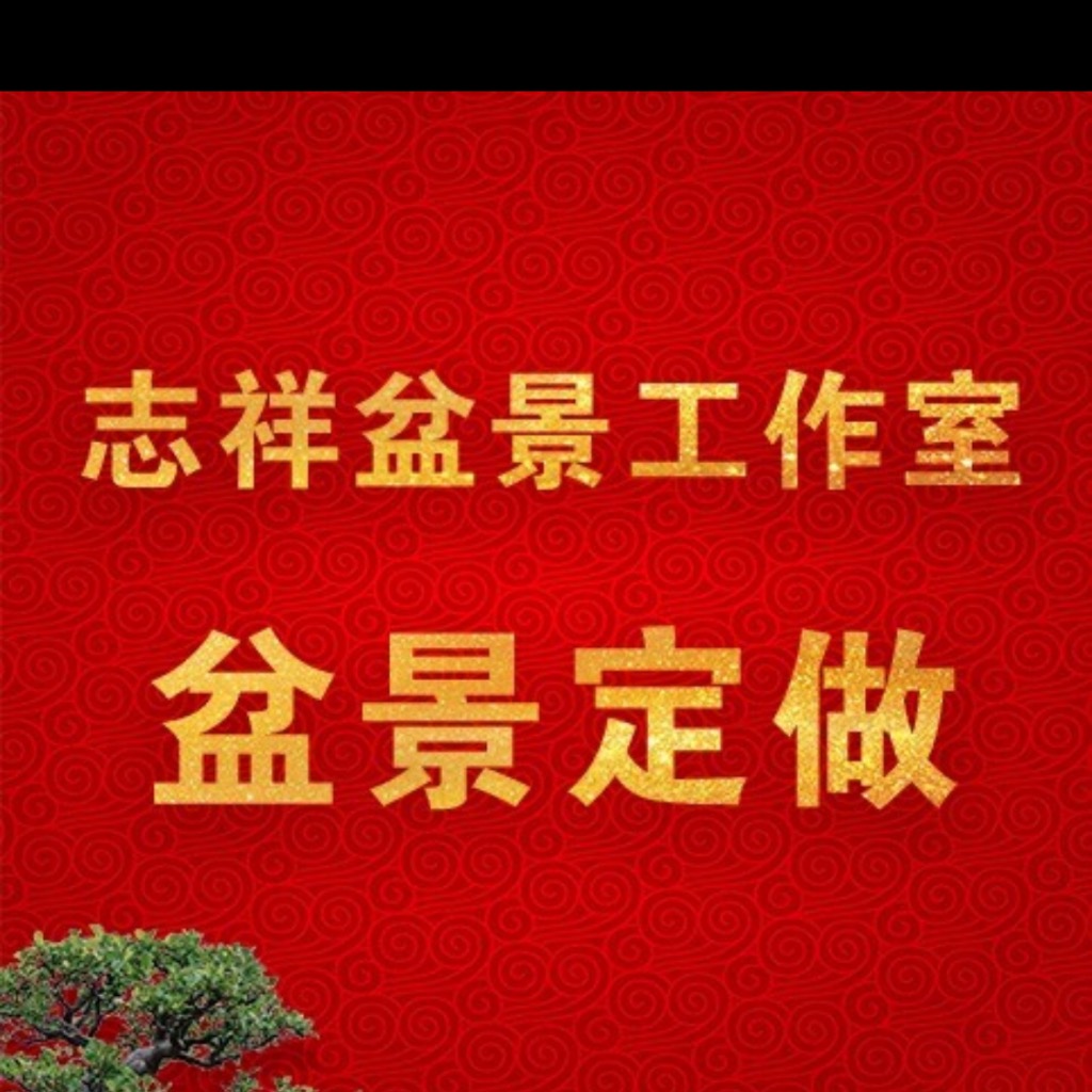 11 志祥盆景一物一拍