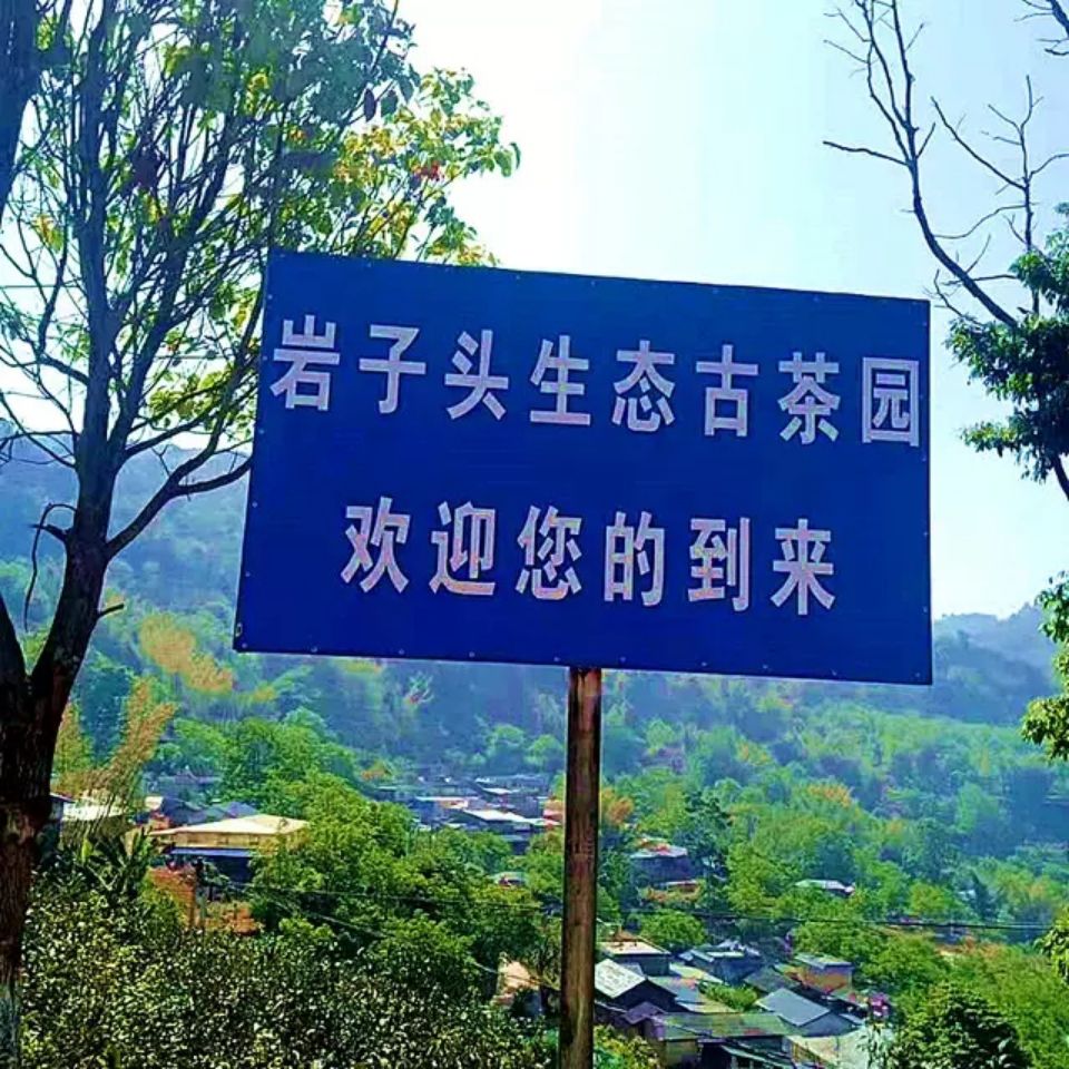 2021年岩子头古茶普洱生茶
