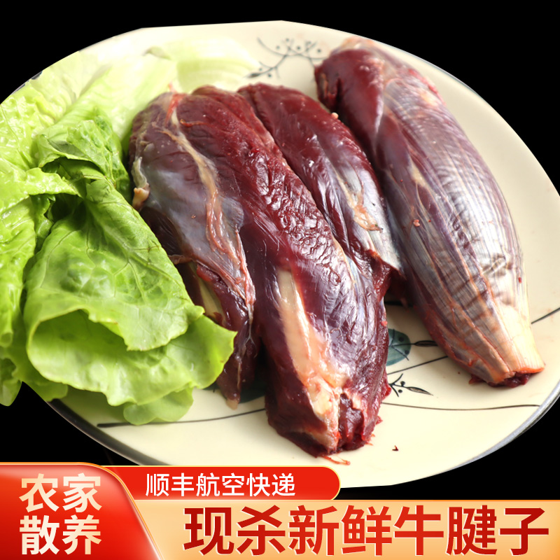 [牛腱子] 顺丰冷链包邮 卤肉 凉拌 火锅  新鲜