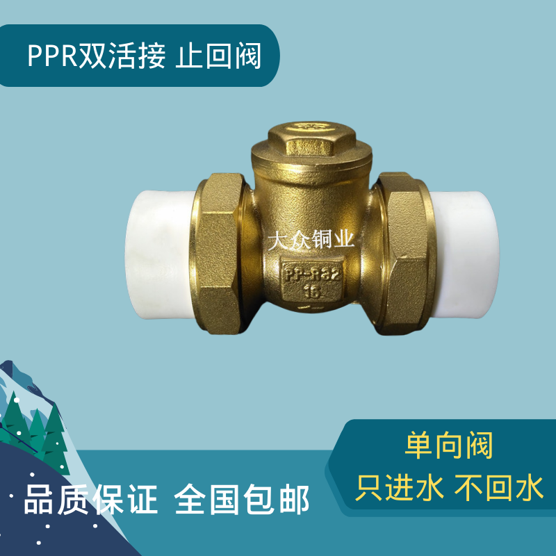 PPR热熔止回阀黄铜单向阀卧式立式逆止阀管道配件