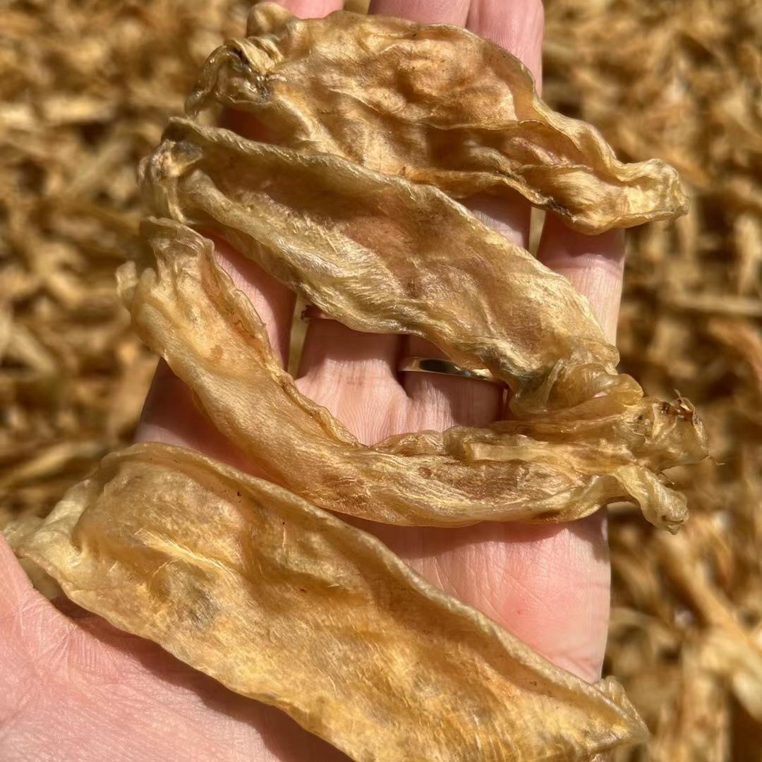 珠海特产 黄花胶 鱼胶 煲汤料100g