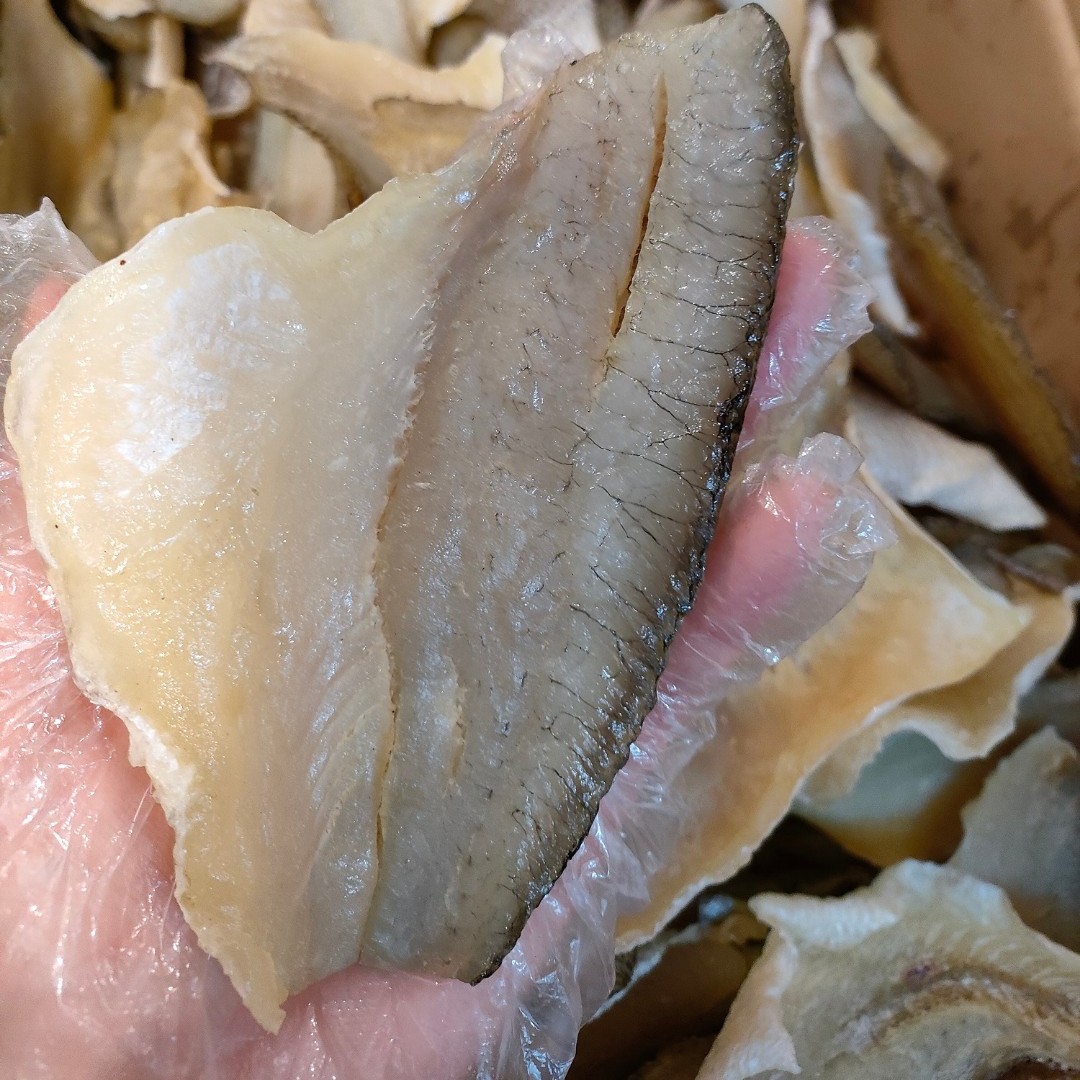 珠海龙发白蕉鲈鱼干